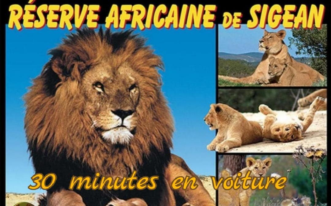 Balade Au Sud Le Barcares
