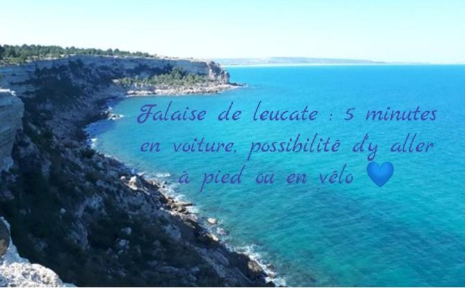 Balade Au Sud Le Barcares